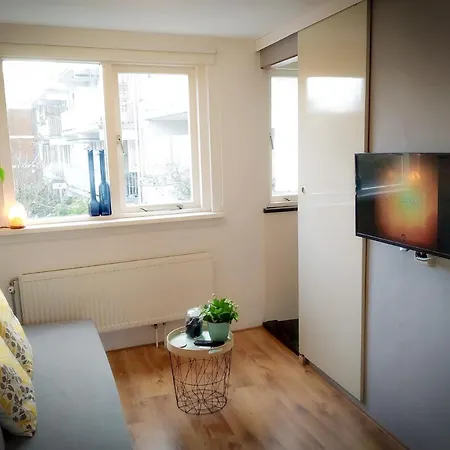 Charming House In Historic Haarlem